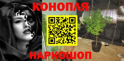 сатива Конаково