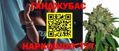 крисы Коммунар