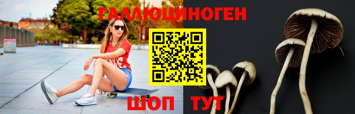 Краснокаменск  Галлюциногенные грибы мицелий  Вход с VPN  Галлюциногенные грибы Psilocybe 